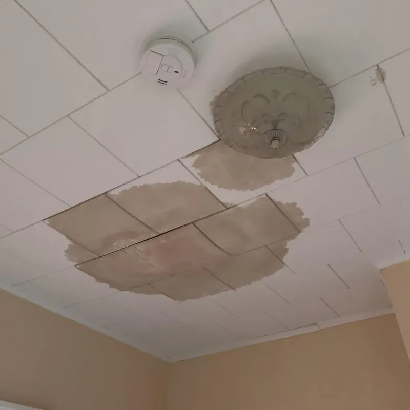 Ceiling Water Damage Repair in Chubbuck, ID